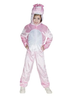 Pig Costume,