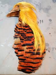 Golden Pheasant HEAD CAPE