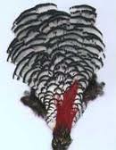 Lady Amethyst Pheasant head cape