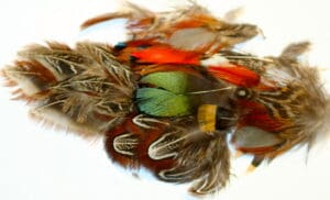 Mixed Pheasant Plumage Feather